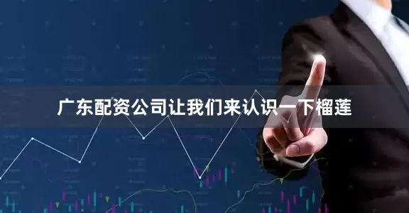 广东配资公司让我们来认识一下榴莲