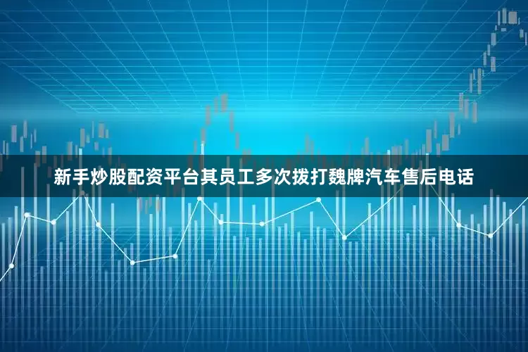 新手炒股配资平台其员工多次拨打魏牌汽车售后电话